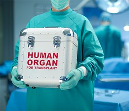 [Translate to Estonia - estonian:] Nurse holding a human organ box